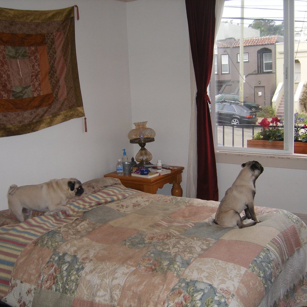 Meet your Posher, Hippo